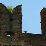 Dircea 3* CastellʼArquato